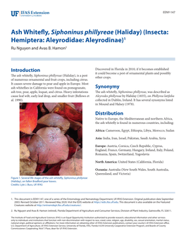 Ash Whitefly, Siphoninus Phillyreae (Haliday) (Insecta: Hemiptera: Aleyrodidae: Aleyrodinae)1 Ru Nguyen and Avas B