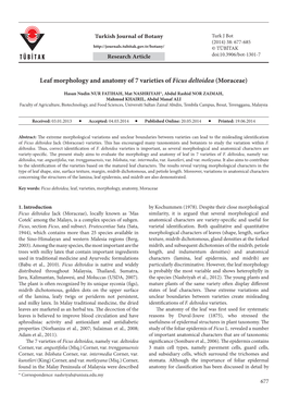 Leaf Morphology and Anatomy of 7 Varieties of Ficus Deltoidea (Moraceae)