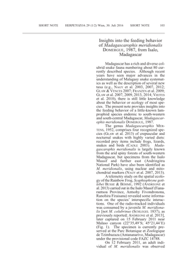 Insights Into the Feeding Behavior of Madagascarophis Meridionalis Domergue, 1987, from Isalo, Madagascar