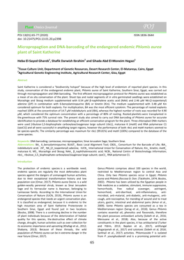 Micropropagtion and DNA-Barcoding of the Endangered Endemic Phlomis Aurea Plant of Saint Katherine