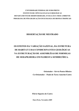 Dissertação De Mestrado Os Efeitos Da Variação Sazonal