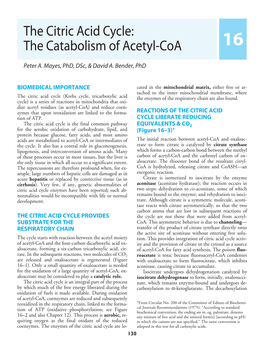 The Citric Acid Cycle: the Catabolism of Acetyl-Coa 16