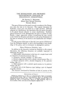 The Rediscovery and Probable Phylogenetic Position of Psilopsocus (Psocoptera) by Edward L