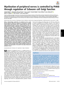 Myelination of Peripheral Nerves Is Controlled by PI4KB Through Regulation of Schwann Cell Golgi Function