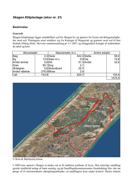 Skagen Klitplantage (Skov Nr. 21)