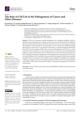 The Role of CXCL16 in the Pathogenesis of Cancer and Other Diseases