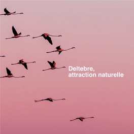 Deltebre, Attraction Naturelle .Embouchure De L’Ebre