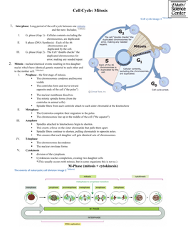 Cell Cycle: Mitosis