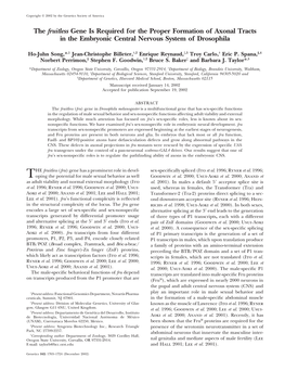 The Fruitless Gene Is Required for the Proper Formation of Axonal Tracts in the Embryonic Central Nervous System of Drosophila