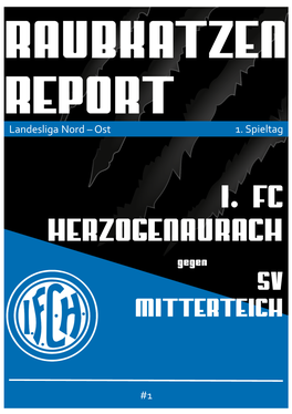 Landesliga Nord – Ost 1