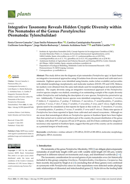 Integrative Taxonomy Reveals Hidden Cryptic Diversity Within Pin Nematodes of the Genus Paratylenchus (Nematoda: Tylenchulidae)