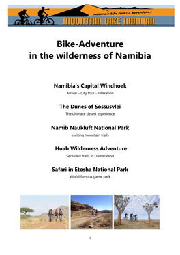 Bike-Adventure in the Wilderness of Namibia