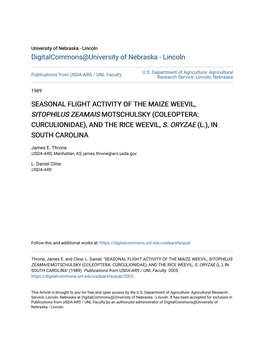 SEASONAL FLIGHT ACTIVITY of the MAIZE WEEVIL, <I>