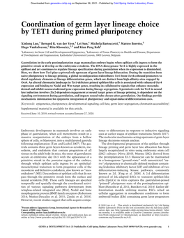 Coordination of Germ Layer Lineage Choice by TET1 During Primed Pluripotency