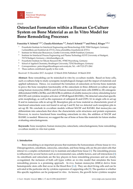 Osteoclast Formation Within a Human Co-Culture System on Bone Material As an in Vitro Model for Bone Remodeling Processes