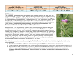 Plumeless Thistle Carduus Acanthoides L