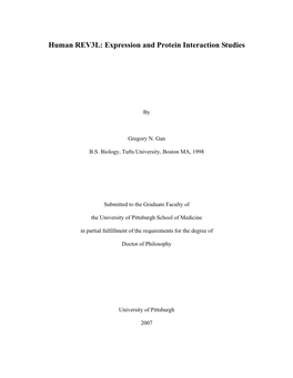 Human REV3L: Expression and Protein Interaction Studies