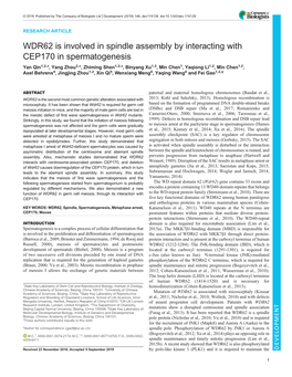 WDR62 Is Involved in Spindle Assembly by Interacting with CEP170 in Spermatogenesis
