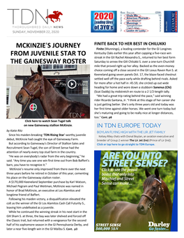 Mckinzie=S Journey from Juvenile Star to the Gainesway Roster