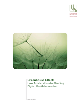 Greenhouse Effect: How Accelerators Are Seeding Digital Health Innovation