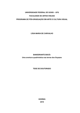 Ufg Faculdade De Artes Visuais Programa De Pós-Graduação Em Arte E Cultura Visual