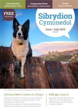 Sibrydion Cymunedol June–July 2019 Issue 64