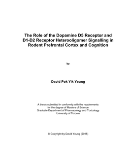 The Role of the Dopamine D5 Receptor and D1-D2 Receptor Heterooligomer Signalling in Rodent Prefrontal Cortex and Cognition