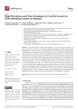 High Prevalence and New Genotype of Coxiella Burnetii in Ticks Infesting Camels in Somalia