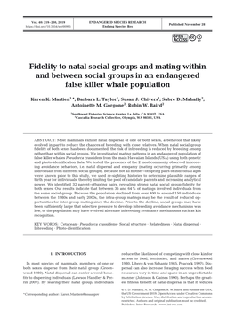 Fidelity to Natal Social Groups and Mating Within and Between Social Groups in an Endangered False Killer Whale Population