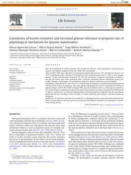 Coexistence of Insulin Resistance and Increased Glucose Tolerance in Pregnant Rats: a Physiological Mechanism for Glucose Maintenance