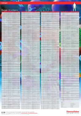 Human CD Antigens