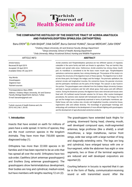 The Comparative Histology of the Digestive Tract of Acrida Anatolica and Parapholidoptera Spinulosa (Orthoptera)