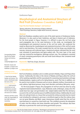 Morphological and Anatomical Structure of Red Fruit ( Pandanus Conoideus Lam.)