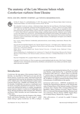 The Anatomy of the Late Miocene Baleen Whale Cetotherium Riabinini from Ukraine