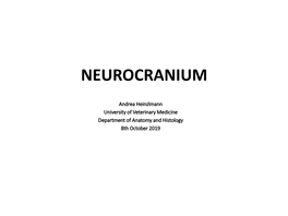 Neurocranium