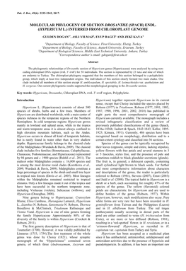 Molecular Phylogeny of Section Drosanthe (Spach) Endl