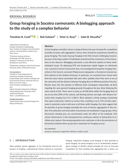 Group Foraging in Socotra Cormorants: a Biologging Approach to the Study of a Complex Behavior