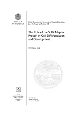 The Role of the SHB Adapter Protein in Cell Differentiation and Development