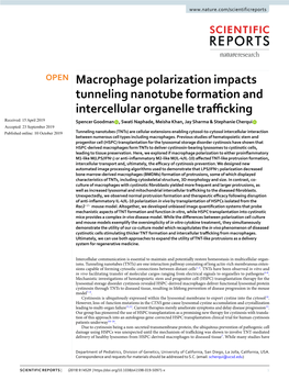 Macrophage Polarization Impacts Tunneling Nanotube Formation And