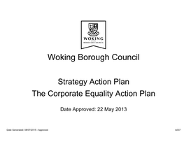 Corporate Equality Action Plan