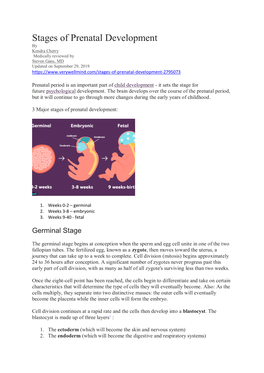 Stages of Prenatal Development