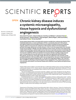 Chronic Kidney Disease Induces a Systemic Microangiopathy, Tissue