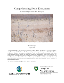 Northeast Swale Document Review and Analysis