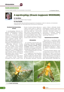 A Napraforgólégy (Strauzia Longipennis WIEDEMANN) Dr