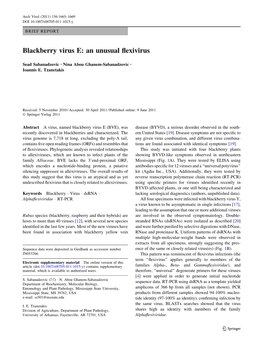 Blackberry Virus E: an Unusual ﬂexivirus