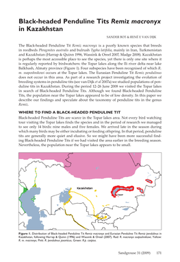Black-Headed Penduline Tits Remiz Macronyx in Kazakhstan Sander Bot & René E Van Dijk