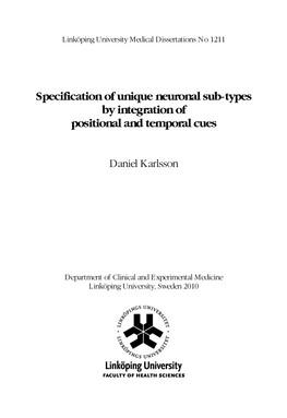 Specification of Unique Neuronal Sub-Types by Integration of Positional and Temporal Cues