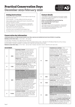 Practical Conservation Days December 2019-February 2020