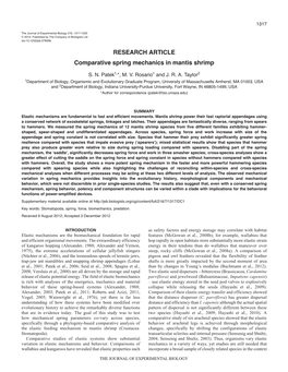 RESEARCH ARTICLE Comparative Spring Mechanics in Mantis Shrimp