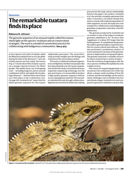 The Remarkable Tuatara Finds Its Place